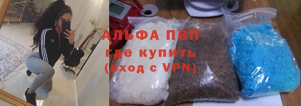 дурь Каменка