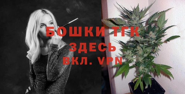 дурь Каменка