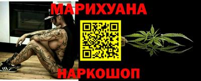 шишки Аргун