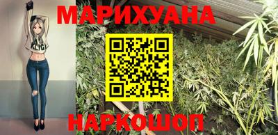 шишки Аргун