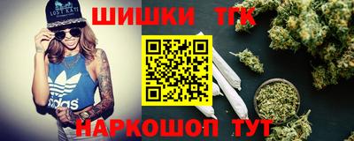 шишки Аргун