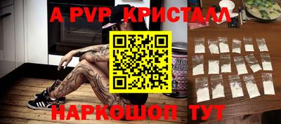 шишки Аргун